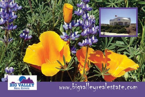 Big Valley Real Estate Your Real Estate Resource For The Antelope Valley