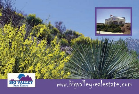 Big Valley Real Estate Your Real Estate Resource For The Antelope Valley