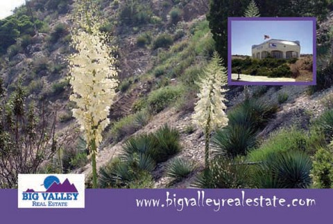 Big Valley Real Estate Your Real Estate Resource For The Antelope Valley